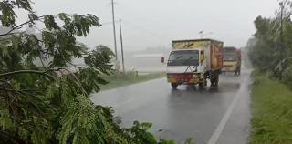 Wanareja Dilanda Hujan Angin, Satu Pohon Besar Tumbang ke Jalan.