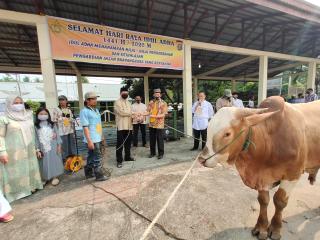 Idul Adha 1441 H Polres Inhu Potong 15 Ekor Sapi Kurban