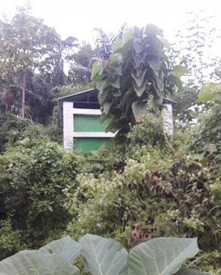 Bak Penampungan Air di Puncak Jaya Yang di Bangun Dengan Anggaran DD tahun 2018, Hingga Kini Belum Bisa Dirasakan Manfaatnya