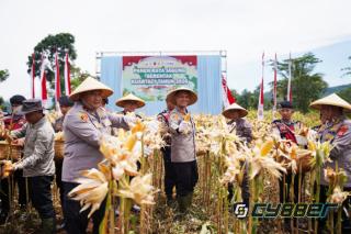 Dari Lahan Tidur ke Harapan Baru: Kisah Petani Cikalongwetan yang Kembali Berdaya