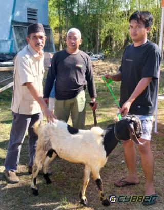 DPC Papera Kota Cilegon Apresiasi Bantuan Hewan Kurban dari Presiden Prabowo dan DPP Papera