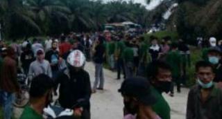 Periksa 5 Saksi Terkait Penjarahan di PT Langgam, Polisi Akan Tetapkan Tersangka