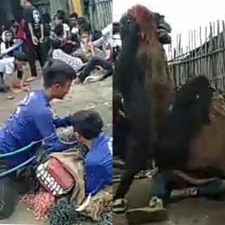 Karapiak Kampung Pelestarian Seni Reak