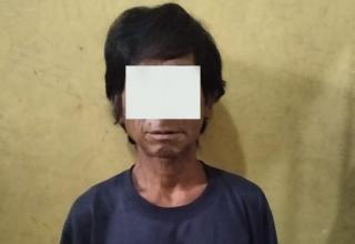 Tua Bangka Bujang Lapuk Pelaku Cabul Anak Dibawah Umur Digaruk Polsek Jati Agung