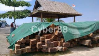 Kepergok Angkut Kayu, Pembalak Liar Ditangkap