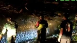 Serumpun Pohon Bambu Tumbang, Arus Lalulintas di Cadas Panggeran 2 Jam Macet Total