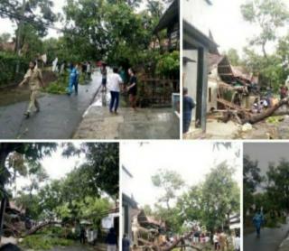 Puluhan Rumah Rusak Berat Akibat Hujan Deras Dan Angin Kencang di Desa Karang Malang Cirebon