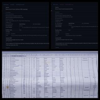 Proyek Pengadaan Bibit Distankan Inhu Diduga Fiktif