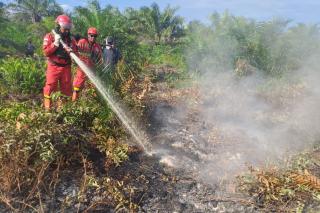 Tembus Jalur Sungai, Manggala Agni Kejar Api di Pematang Pudu