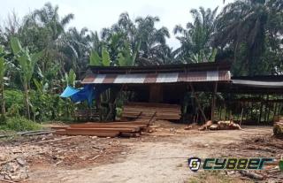 Diduga Dibekingi Tokoh Adat, 17 Sawmill Ilegal Bebas Beroperasi di Teratak Buluh