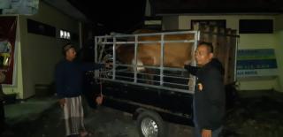 Warga Bungatan Gagalkan Pencurian Hewan,Barang Bukti Dan Tersangka Kini Diamankan Polres Situbondo