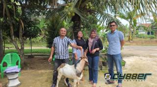 DPD PSI Kabupaten Mesuji Bagikan Satu Ekor Sapi dan Tujuh Kambing untuk DPC se-Kabupaten Mesuji