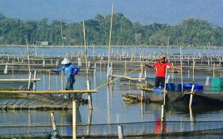 Rowo Jombor Akan Dikembalikan ke Fungsi Irigasi dan Pengendali Banjir