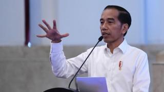 Presiden Jokowi Perintahkan Menkominfo Palapa Ring Dinikmati Warga