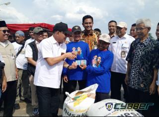 Petani Tersenyum, Bulog Beli Gabah dengan Harga Rp 6.500 per Kilogram