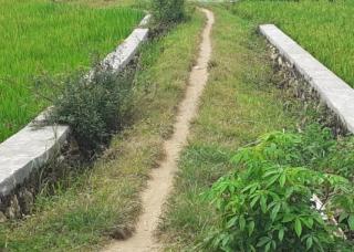 Jalan Utama Penghubung Dua Desa di Kabupaten Sampang Butuh Sentuhan Pemerintah Daerah