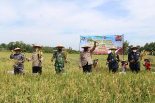 Kapolda Jabar dan Kasdam III Siliwangi Laksanakan Panen Raya Serentak Di Kampung Tangguh Nusantara Lodaya 