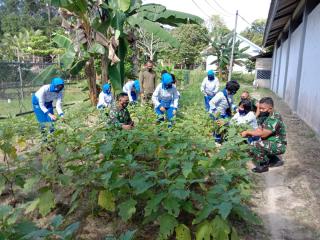 Peduli Ketahanan Pangan, Danlanal Babel dan Jalasenastri Cabang 4 Korcap III DJA 1 Lakukan Penanaman Bibit Ikan dan Sayur Sekaligus Panen