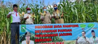 Gubernur Riau Panen Jagung Yang Ditanam Sendiri 3 Bulan Lalu di RA Kopi Aren, Menghimbau Masyarakat Manfaatkan Lahan Terlantar