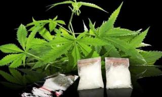 Ini Kronologi Penangkapan SS Terduga Bandar Narkoba di Simpang Pematang Mesuji, Polisi Sita 6,58 Gram Sabu dan 0,5 Kg Ganja