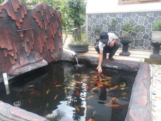 Kolam Depan Rumah menjadi Suasana Tersendiri