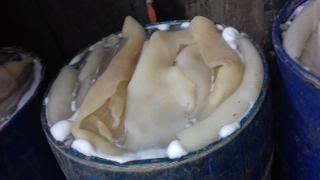 Diduga Kikil Berbahaya Buat Dikonsumsi