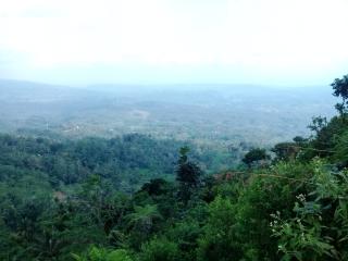 Bukit Kompos di Desa Bolang, Jadi Tempat Pemburu Sunrise