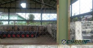 Penyewaan GOR Desa Nagerang yang Dinilai Melanggar Aturan, Disorot Warga