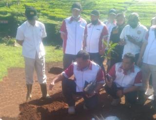 PTPN VIII Kebun Cisaruni Manggung Menggelar Penanaman Pohon di Area Kebun Desa Giriawas