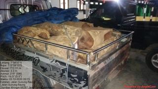 Perhutani Bondowoso Asper Wonosari Gandeng Polsek Sumberwringin Amankan Kayu Sonokeling Beserta Mobil Dan Diduga Pelaku