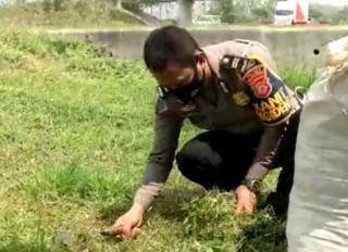 Kapolres Majalengka : Anggota Bantu Ngarit Warga, Teladan yang Harus Dicontoh