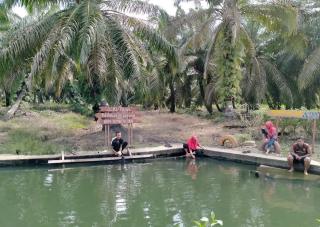 PT.Musim Mas Sudah Dikangkangi Menteri Kehutanan RI