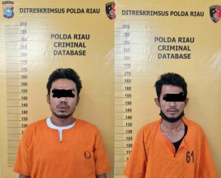Jual Sisik Tenggiling, Pria di Siak Ditangkap Polda Riau