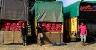 Warga Ungkap Kegiatan Importir Bawang Ilegal di Kota Dumai