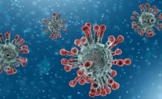 Simpang Siur Berita Korban Virus Corona di Sindangpanon Banjaran Mendapat Tanggapan dari Ketua WN 88 Bandung