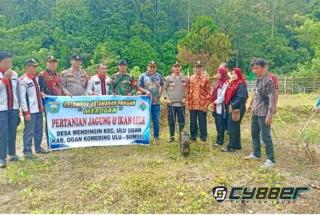 Kapolsek Ulu Ogan Tanam Jagung Serentak 2,5 Ha, Dukung Ketahanan Pangan 2026