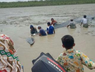 Warga Dusun Sungai Kong OKI Coba Selamatkan Paus Terjebak di Lumpur
