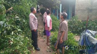 Polsek Kemang Gerak Cepat Tangani Pohon Tumbang Akibat Hujan Deras dan Angin Kencang