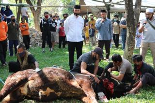 Dansat Brimob Polda Jabar Potong Hewan Qurban Sesuai Ketentuan WHO