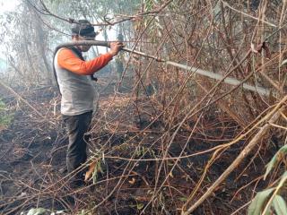 Jurnalis Ikut Serta Berjibaku Memadamkan Karhutla di Inhil