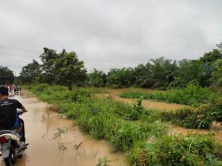 Jalan Lintas Desa Bangun Mulyo Jadi Langganan Banjir di Musim Penghujan
