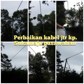 Kabel Listrik Jatuh dan Bahayakan Warga, PLN Purwakarta Gerak Cepat