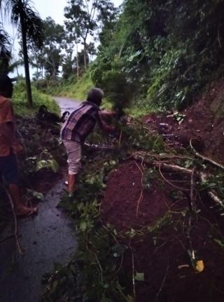 Akibat Hujan Deras Longsor di Pekon Talang Beringin Tutupi Badan Jalan