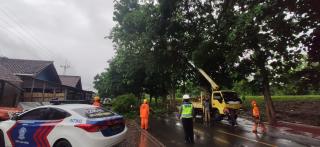 Polres Banjar Polda Jabar Dan BPBD Kota Banjar Evakuasi Pohon Tumbang