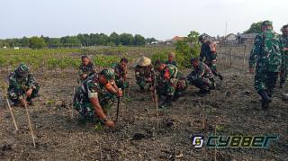 Penghijauan TMMD ke-128, Kodim 0623/Cilegon Tanam 1.000 Pohon demi Selamatkan Pesisir Pulo Panjangi