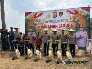 Ditpolairud Polda Banten Tanam Jagung Kuartal II 2026, Dorong Ketahanan Pangan di Cilegon