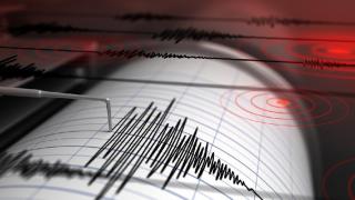 Toli-Toli Sulteng Diguncang Gempa 5,3 Magnitudo